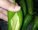 A picture of step 1 of Mirchi Masala.