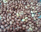 A picture of step 2 of Til vadi or Seasame chikki.