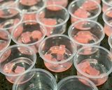 Gambar langkah 4 resipi Agar-agar Sirap Nata de Coco.