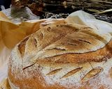 Foto langkah ke 6 dari resep Rustic Bread versi simple.