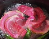 Foto langkah ke 2 dari resep Sirup Kulit Buah Naga.