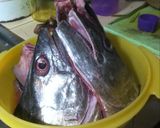 Foto langkah ke 1 dari resep Pempek Ikan Tenggiri BunjiBunjen.
