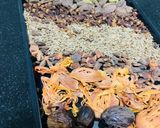 A picture of step 2 of Daigi Masala.