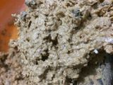 15. Oatmeal Cookies Resep Hotel Bintang 5