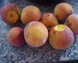 Foto del paso 1 de la receta: Duraznos en almíbar