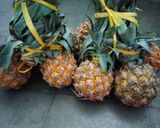 Foto langkah ke 1 dari resep 40. 🥮🍍 PIE NANAS KLASIK🍍🥮 #TANPATELUR #ANTIGAGAL.