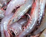 A picture of step 1 of Shaoxing Drunken Shrimp (Wild Sword Shrimp from Penghu).