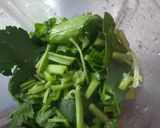 Foto del paso 2 de la receta: Jugo verde para Alsar la defensa