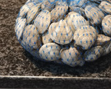 Foto del paso 4 de la receta: Chirlas al vino blanco