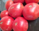 Foto del paso 2 de la receta: Tomaticán