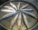 Foto del paso 1 de la receta: Sardinas en dos minutos al microondas