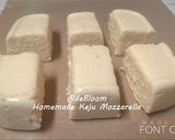 Foto langkah ke 7 dari resep 228. Homemade Keju Mozzarella.