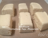 Foto langkah ke 7 dari resep 228. Homemade Keju Mozzarella.