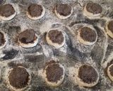 Foto del paso 4 de la receta: Tortitas negras sin levadura