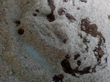 Muffins light de café