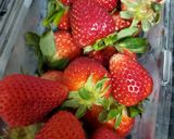 Foto del paso 1 de la receta: Agua de fresa y leche