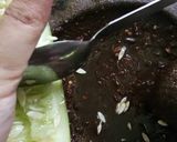 Foto langkah ke 2 dari resep Rujak timun.