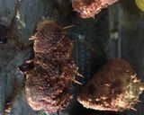 Foto del paso 5 de la receta: Cordón blue de pollo