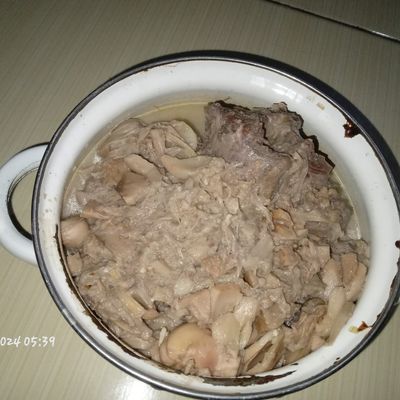 Langkah 7