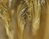 Foto langkah ke 3 dari resep Sayur Asin Homemade.