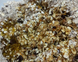 Foto del paso 2 de la receta: Cookies de avena, naranja y chocolate 85% 🍪🍊🍫