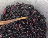 Foto del paso 3 de la receta: Jalea/ mermelada de moras