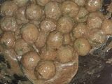 Cilok isi 🍡 sambel kacang
