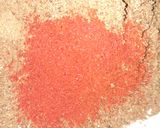 A picture of step 4 of Homemade Biryani Masala.