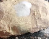 Foto del paso 2 de la receta: Bollos pequeños y Baguettese🥖 de masa madre