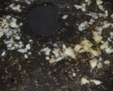 Foto del paso 2 de la receta: Guisado de panceta lenteja y arroz