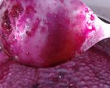 A picture of step 4 of Pomegranate Molasses.