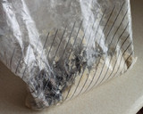Foto del paso 3 de la receta: Pescaíto frito