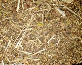 A picture of step 1 of Herbal tea.