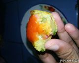 Foto langkah ke 12 dari resep Bakwan sosis cetak Takoyaki.