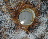 Foto del paso 7 de la receta: Roscón de reyes