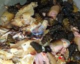 A picture of step 1 of Afang Soup.