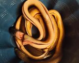 Foto langkah ke 1 dari resep Belut goreng.