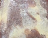 Foto del paso 2 de la receta: 👩🏼‍🍳Galletitas de vainilla y chocolate 🍫