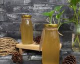 Foto langkah ke 9 dari resep Kombucha Original Dengan Scoby.