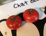 Une image de l'étape 3 de Filets de dorade croustillants (tomates,herbes du maquis et chapelure de légumes).