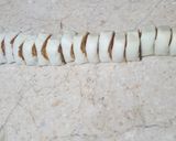 A picture of step 6 of Pinwheel Chicken Bites.