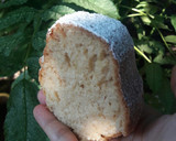 Foto del paso 3 de la receta: Budín de coco y dulce de leche😃