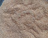 A picture of step 1 of Sesame Seeds Mouth Freshener/ Til Mukhvas.