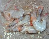 รูปขั้นตอนการทำที่ 2 ของ กุ้งผัดกระเทียมง่ายๆ