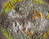 Foto del paso 2 de la receta: Pan de calabacín