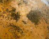 Foto del paso 4 de la receta: Tagliatelle en salsa de coco