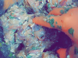 دولمة سردين 😋