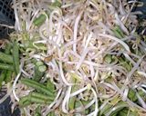 Foto langkah ke 1 dari resep Sayur asam resep ibu (5).