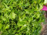 Tumis pakis bunga pepaya