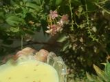 كاسترد سهل و سريع 🍯💖💖🌷